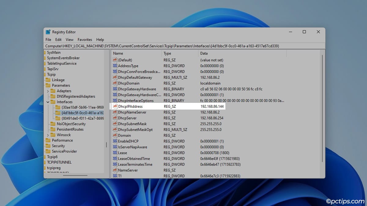 dhcp-ip-address-in-registry