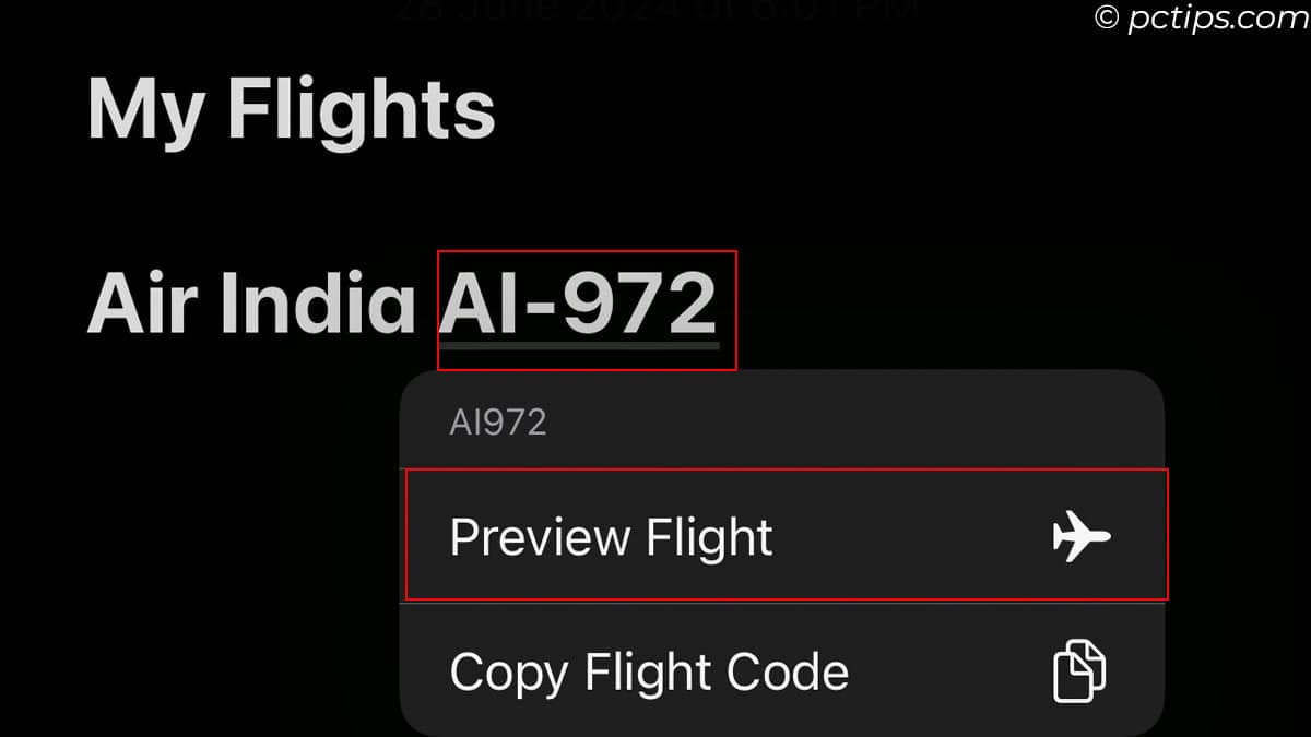 checking flight details iphone