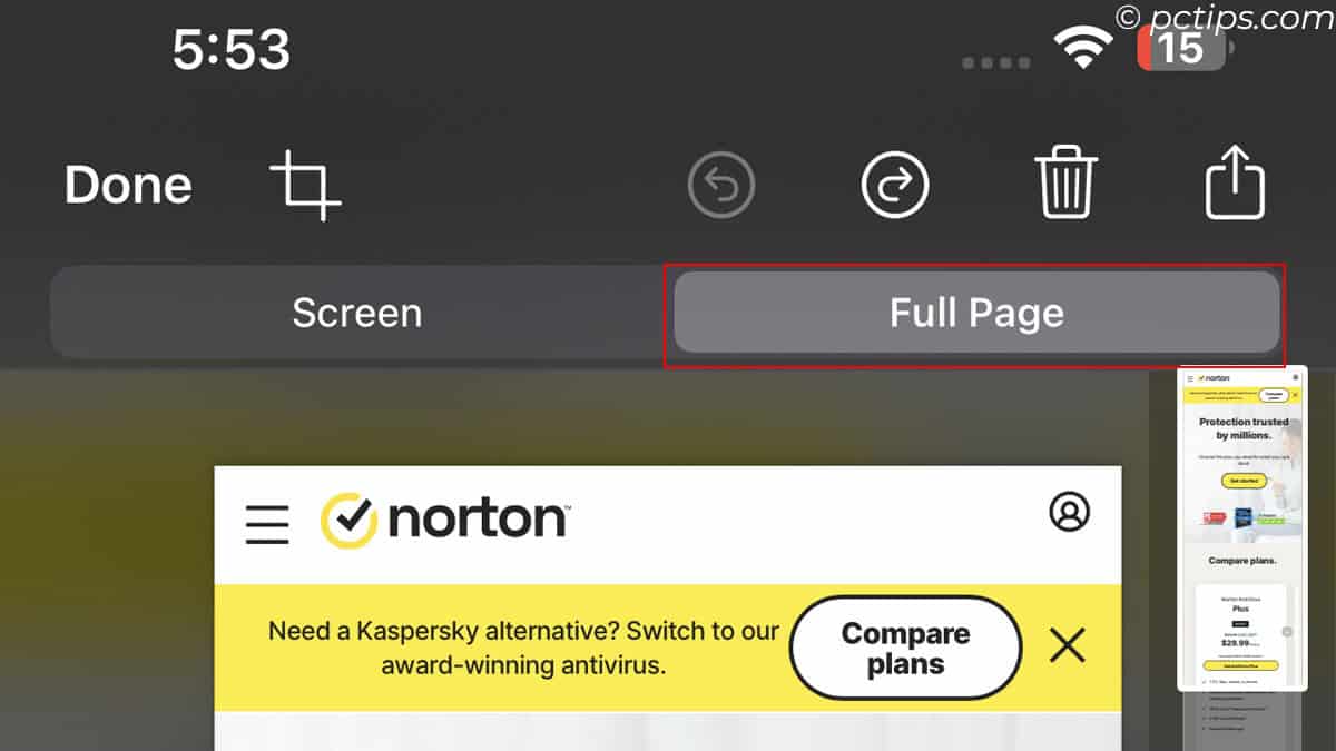 full page view for pdf