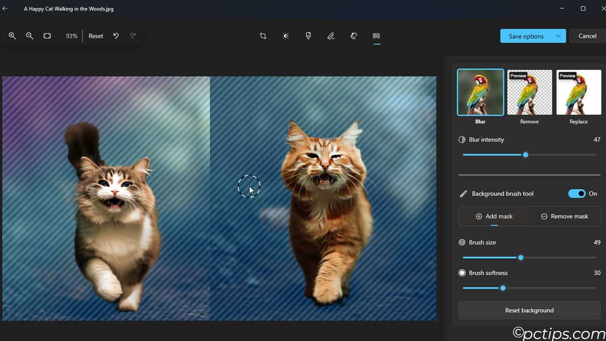 10 Alternatives That Are Completely Free