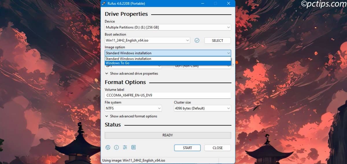 image option