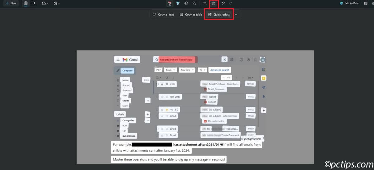 quick redact